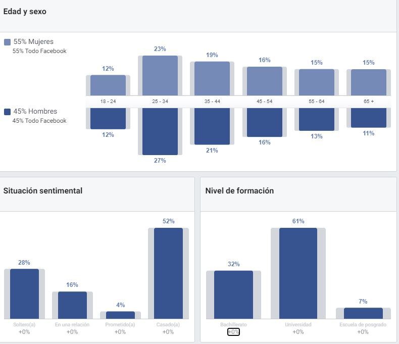 audience insight facebook ads